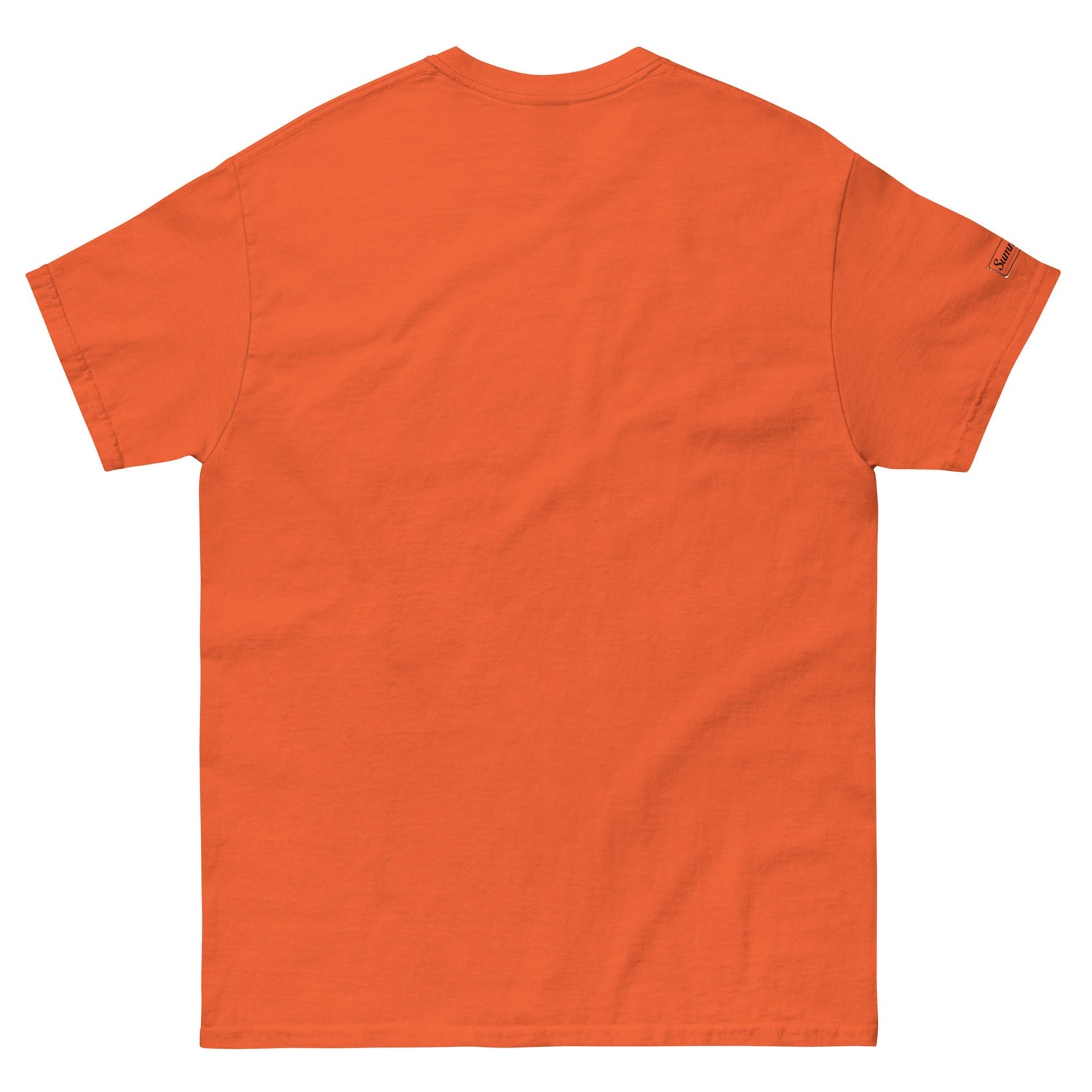Unisex Classic Tee – Comfortable, Stylish and Perfect for the Everyday